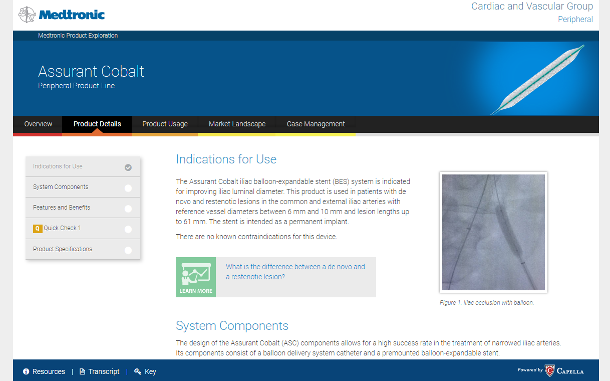 screenshot of e-learning website